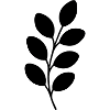 Black Silhouette Leaf Branch