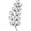 Graphitischer Blattzweig – Monochrom