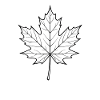 Maple Leaf Line Design