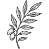 Night Branch Berry Drawing