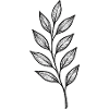 Black Leaves Gloss Pattern