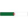 Algerian flag