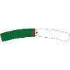 Algerian flag