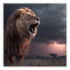 Löwe im Sturm – Dramatischer Roaring King