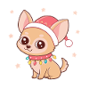 Chihuahua Noël Étoilé