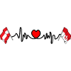 Wien Flags with Heartbeat