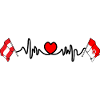 Vorarlberg Flags with Heartbeat