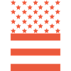 Star Stripe Graphic Pattern
