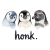 Funny chatter of penguins