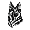 Schäferhund Illustration – Kunstzeichnung Hund