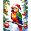 Un perroquet pour Noël