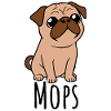 Niedlicher_kleiner_Mops_Hund_Hundemotiv