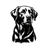 Labrador Dog Illustration – Detailed Design