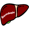 Liver Bile Hepatology