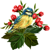 Bunter Vogel