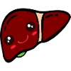 Gallbladder Liver