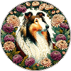 Collie in Floral Circle