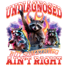 Funny Raccoon