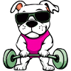 Fitness Dog