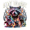 Funny Raccoon