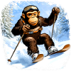 Singe Ski / Singe Skieur