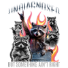 Funny Raccoon