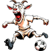 Ziegen Fussball