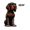 No German Wirehaired German Wirehaired Owners