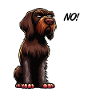 No German Wirehaired German Wirehaired Owner
