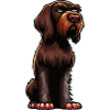 German Wirehaired German Wirehaired Owner