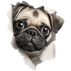 Mops