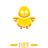 Chickens Farmer Farmer Farm Chicks