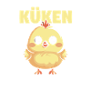 Chickens Farmer Farmer Farm Chicks