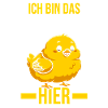 Chickens Farmer Farmer Farm Chicks