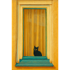 Cat in Turquoise Window Frame