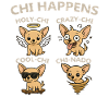 Chi Happens Four Chihuahuas
