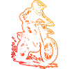 Un motif réservé au motocross
