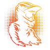 Motocross illustration for motocross