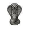 Kobra Graphitlinien-Illustration