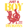 Only a boy loves dragons
