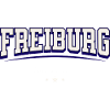 Freiburg Germany College Design