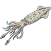 Embroidered squid – sea design (printed)