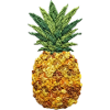 Embroidered pineapple tropical fruit design (printed)