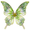 Papillon vert aquarelle