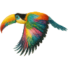 Rainbow Parrot Pattern
