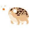 Frosch Desert Rain Frog
