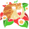 Frosch Desert Rain Frog