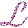 Symphony of Blossoms