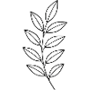 Leaf Branch Line Drawing