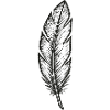 Black glitter feather with texture